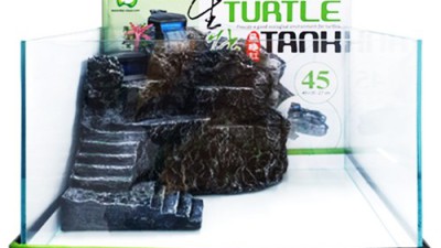 🐢 거북이 집들이! 풀세트 어항 득템 후기 (꿀팁 대방출) 🤩