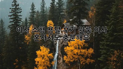 이사 소형 용달 후기: 원룸 이사, 혼자서도 충분해요!